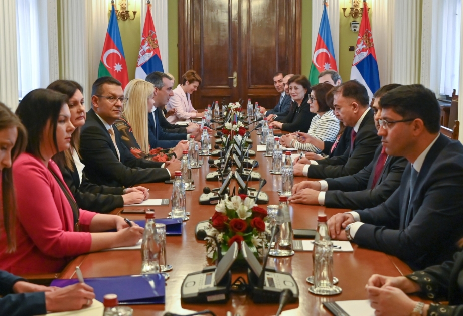 Vladimir Orliç: Azərbaycan və Serbiya suverenlik, ərazi bütövlüyü məsələlərində həmrəylik nümayiş etdirir