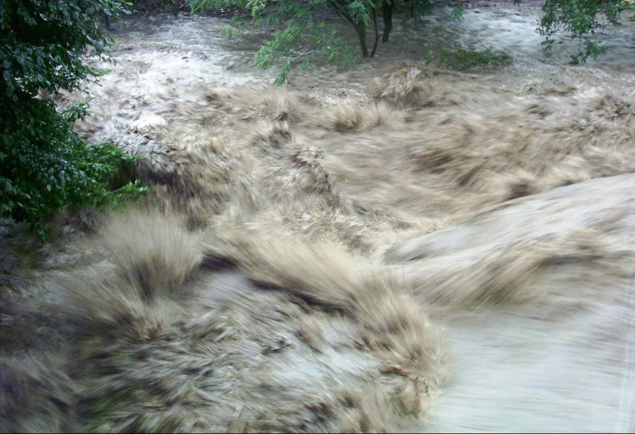 Yağış nəticəsində göl daşıb, həyətyanı sahələrə ziyan dəyib -  açıqlama
