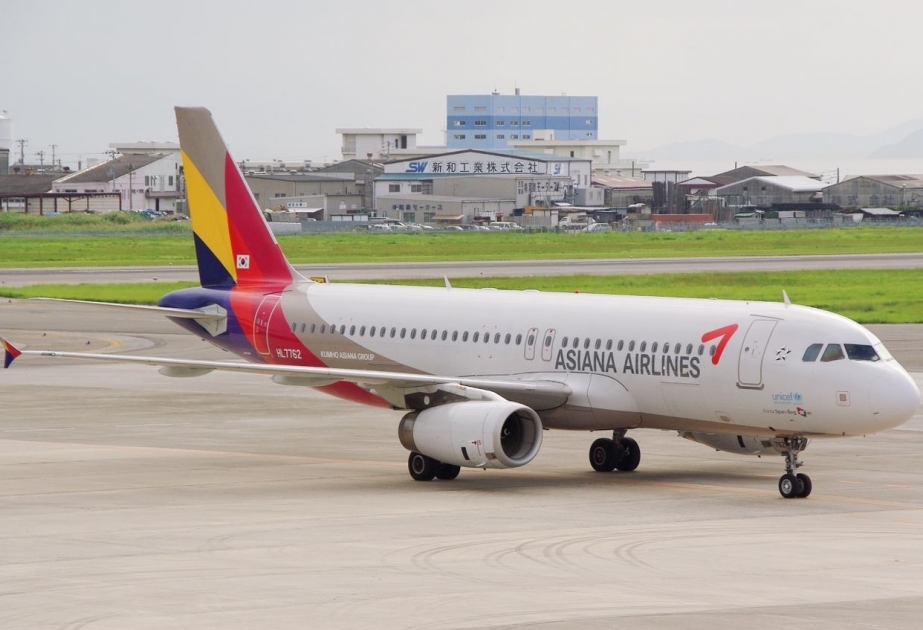 Asiana Airlines plane's door opens right before landing at Daegu Airport
