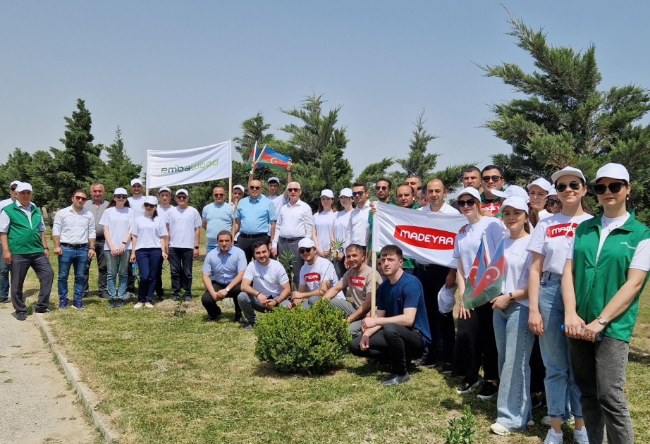 "Embawood" MMC ağacəkmə aksiyası keçirib