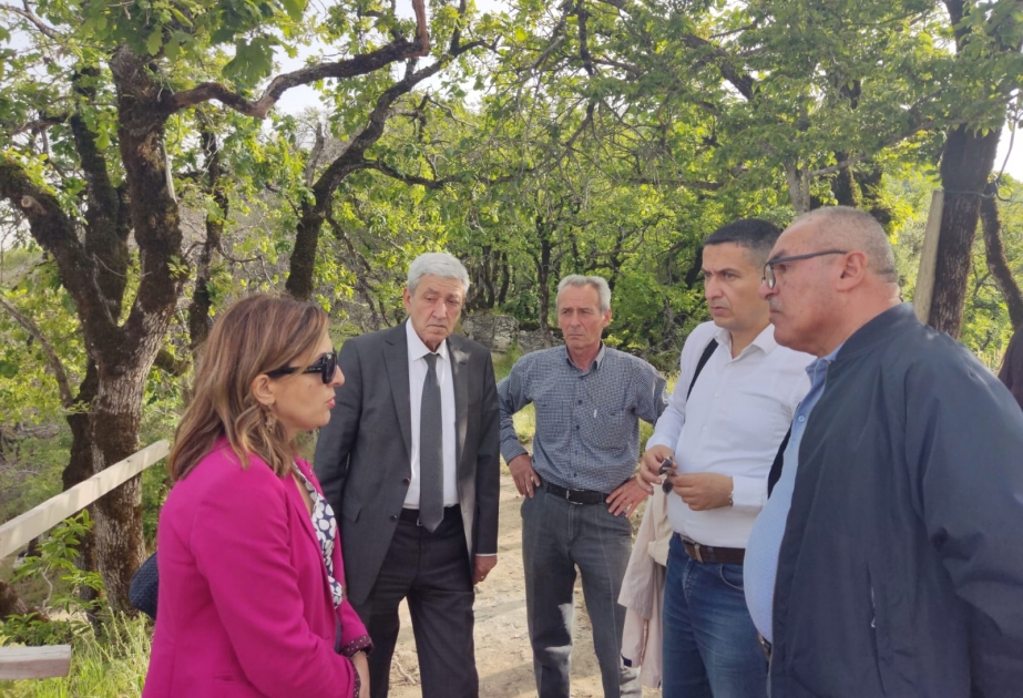 Dövlət Xidmətinin rəisi Çıraqqalada aparılan bərpa-konservasiya işləri ilə tanış olub