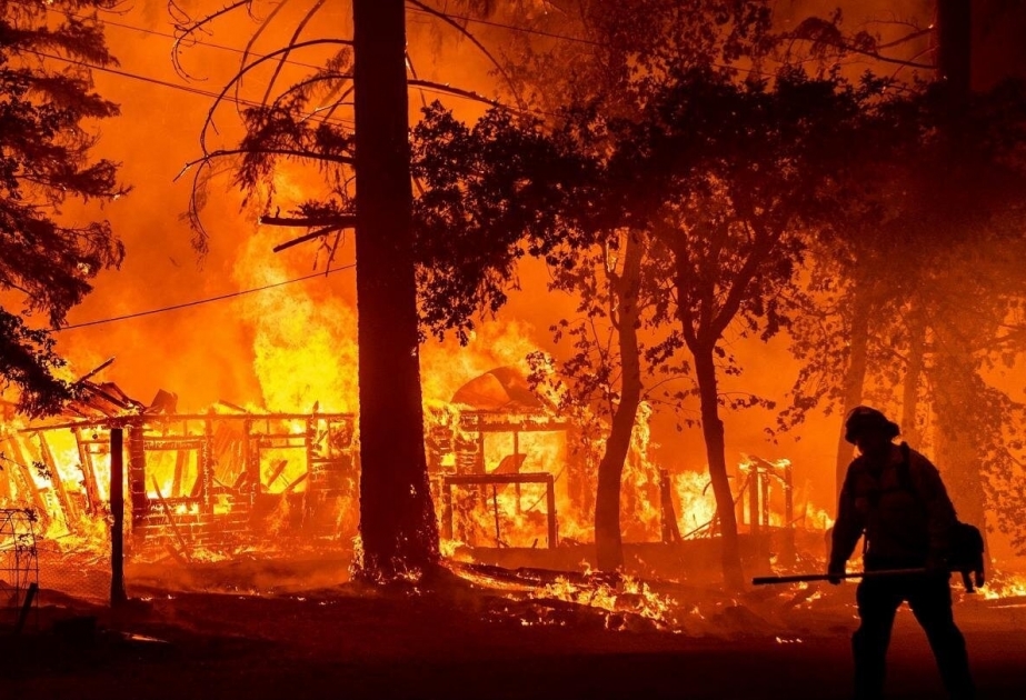 Canada : Des milliers de personnes évacuées en raison d'incendies de forêt