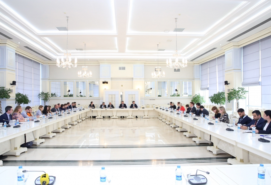Meeting with Working Party on Eastern Europe and Central Asia of EU Council held at Azerbaijan`s Milli Majlis