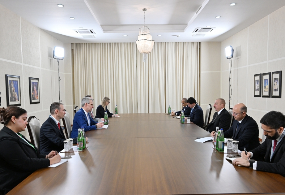 Präsident Ilham Aliyev empfängt Assistenten des US-Staatssekretärs für Energieressourcen VIDEO