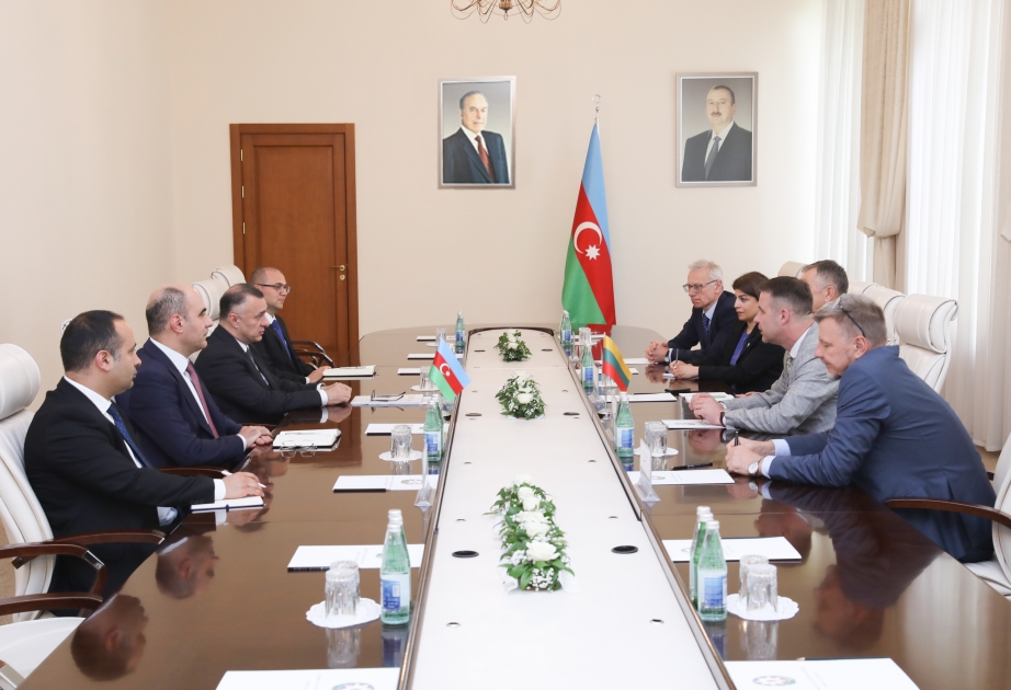 Азербайджан и Литва будут развивать сотрудничество в сфере здравоохранения