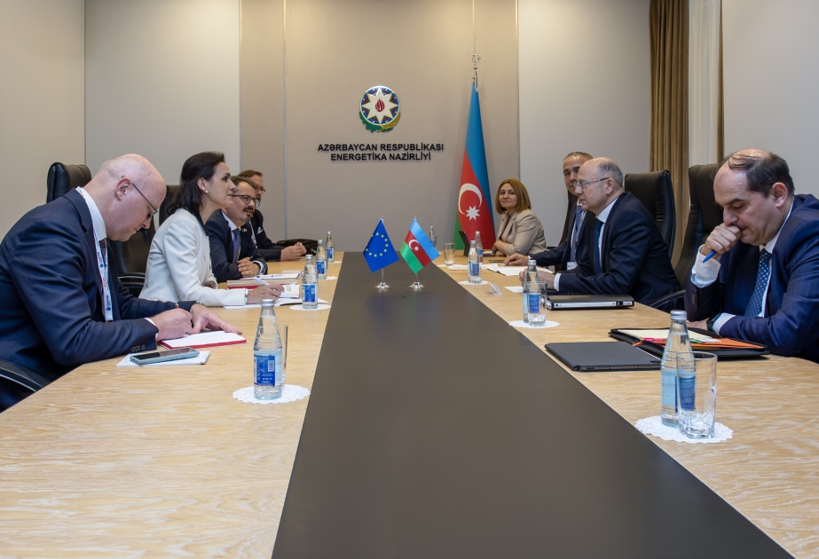 Azərbaycanın qaz və “yaşıl enerji” infrastrukturu layihələrinin inkişafı məsələləri nəzərdən keçirilib