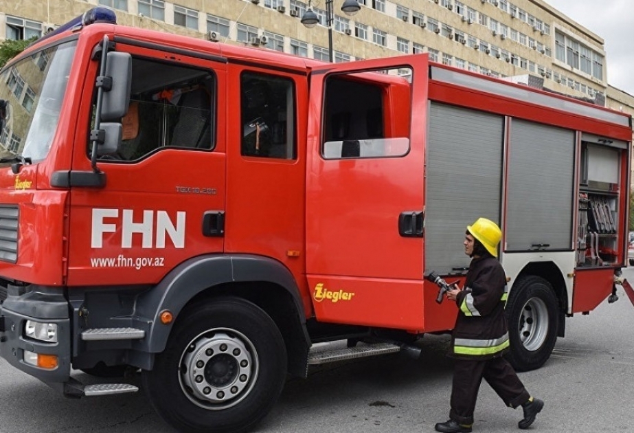 FHN: Ötən sutka ərzində 43 halda yanğına çıxış olub