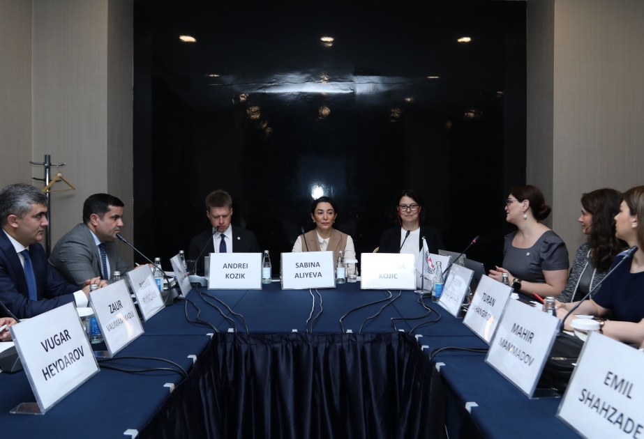 “Beynəlxalq humanitar hüququn milli səviyyədə implementasiyası” mövzusunda seminar