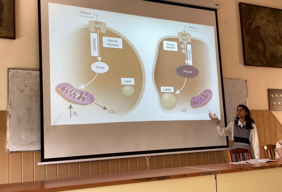 Xərçəngin genomu və diaqnostikası – tələbələrin elmi seminarı
