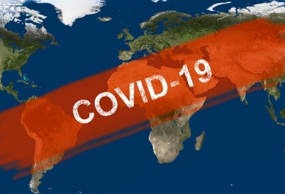 WHO: Number of COVID-19 deaths worldwide decreased by 39 percent in four weeks