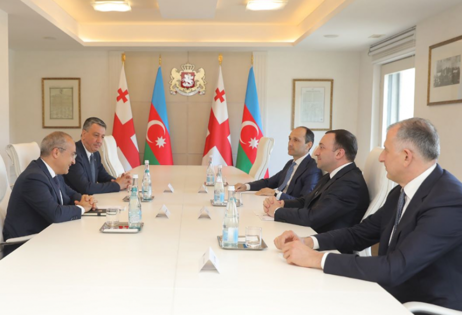 Azərbaycanın iqtisadiyyat naziri Gürcüstanın Baş naziri ilə görüşüb