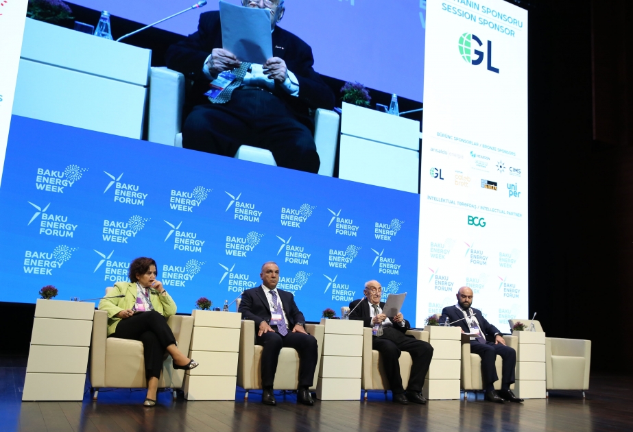 Bakı Enerji Forumunun ikinci günü maraqlı müzakirələrlə yadda qaldı