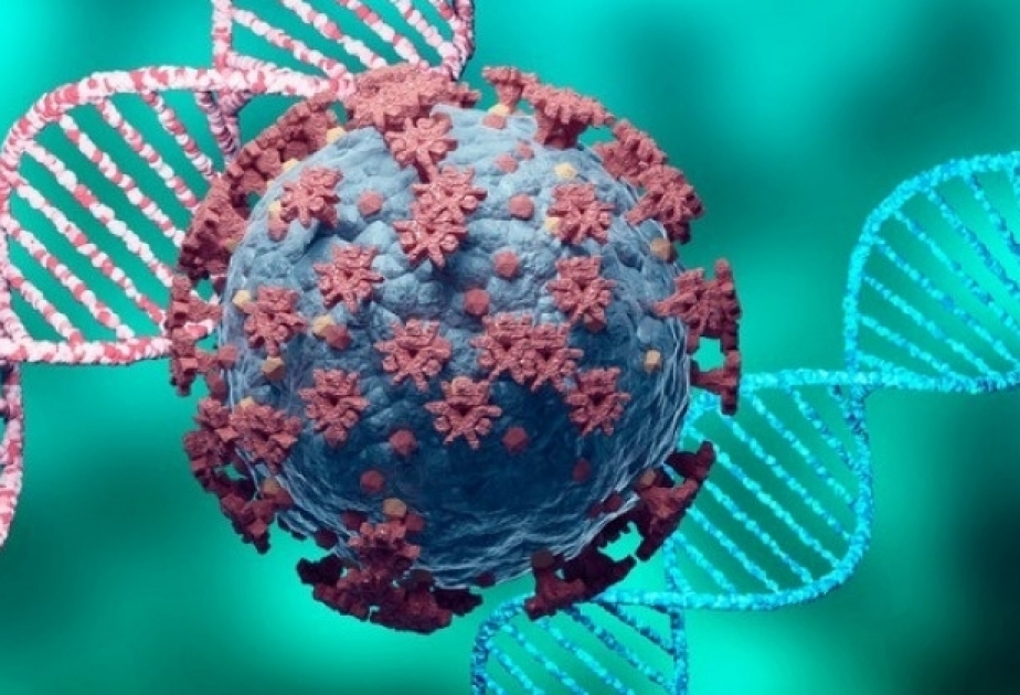 Coronavirus in Aserbaidschan: Zahlen im Überblick