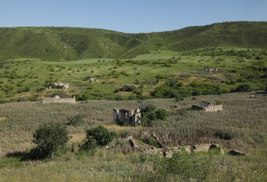 Mollali village, Gubadli district