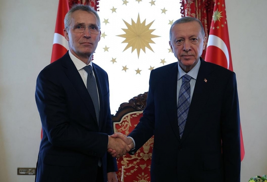 Turkish president, NATO chief meet in Istanbul for talks