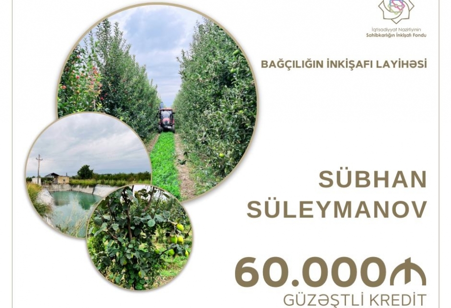 Qubada bağçılığın inkişafı üçün güzəştli kredit ayrılıb