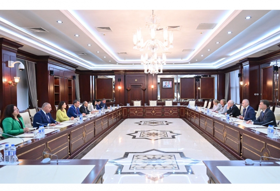 Azerbaijan`s Milli Majlis hosts meeting with PACE co-rapporteurs