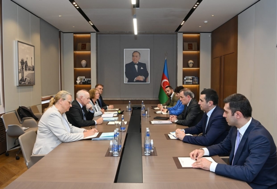 Canciller azerbaiyano informa a los co-relatores de la APCE sobre el período posterior al conflicto