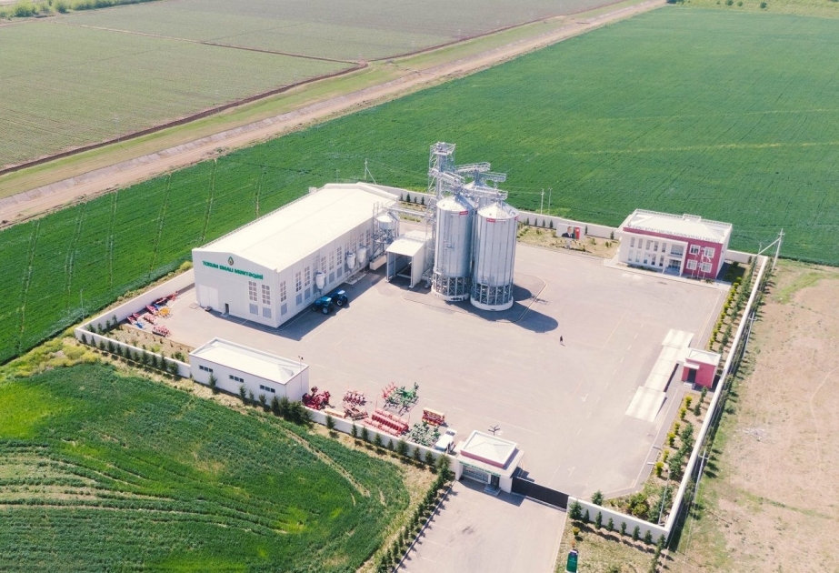Dənli bitki toxumlarının emalı zavodları mövsümə hazır vəziyyətə gətirilib