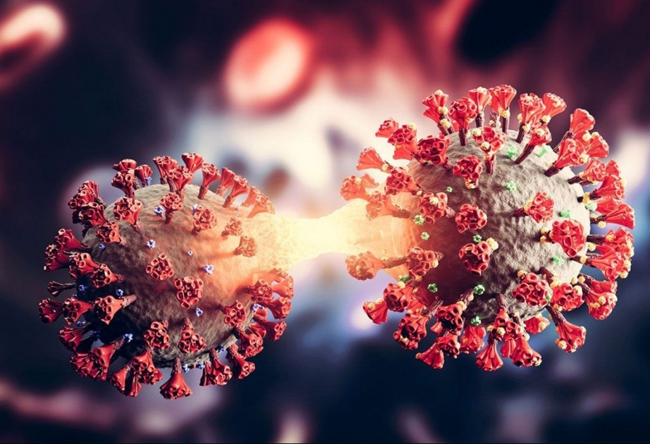 COVID-19: Aktuelle Daten zum Coronavirus in Aserbaidschan