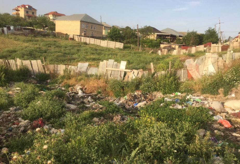 Sanitariya-gigiyena qaydalarının pozulmasına görə Şamaxının üç bələdiyyə sədri cəzalandırılıb