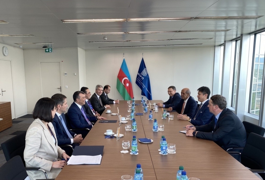 Se ampliará la agenda de la cooperación entre Azerbaiyán y la OIT