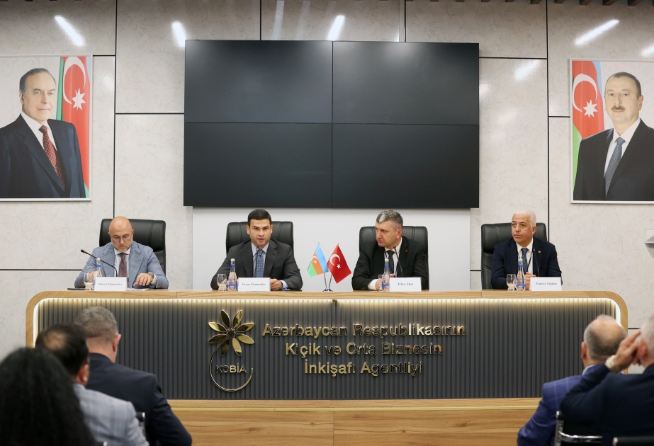 Türkiyə iş adamları ilə əməkdaşlıq imkanları müzakirə edilib