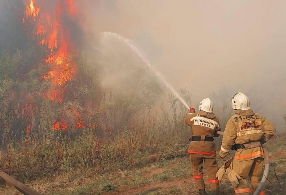 Death toll from wildfires in east Kazakhstan rises to 14