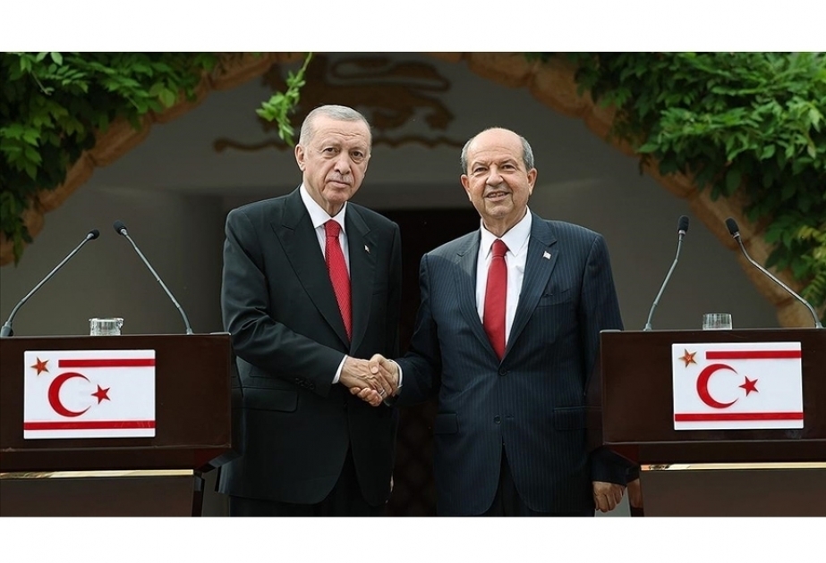 'Turkish Cypriots have never been a minority,' says Türkiye's President Erdogan