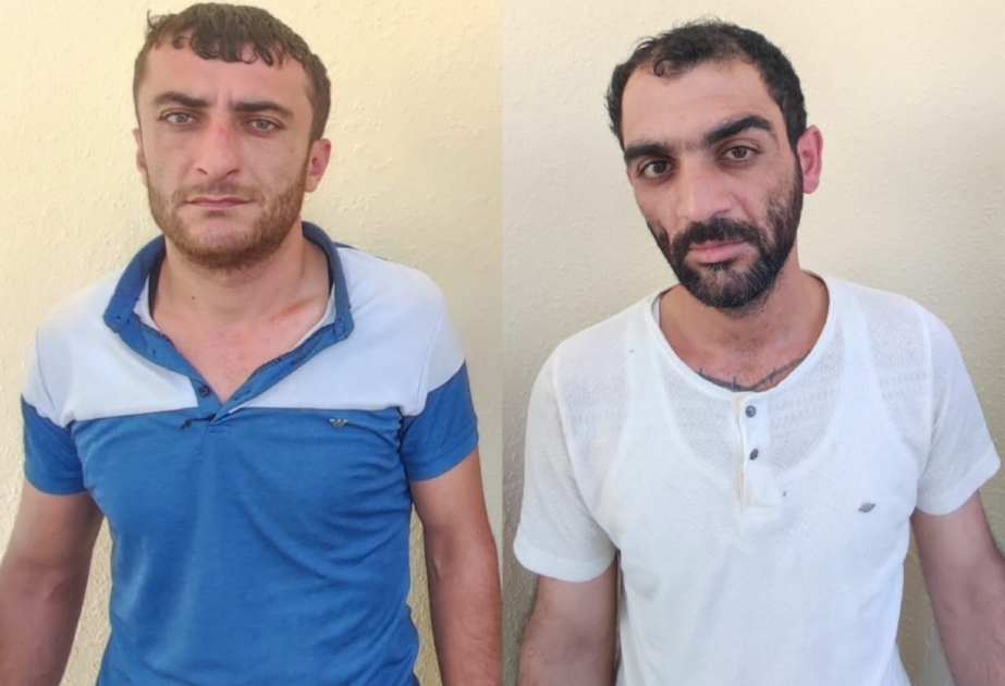 Lerikdə külli miqdarda müxtəlif növ narkotik vasitələr aşkarlanıb