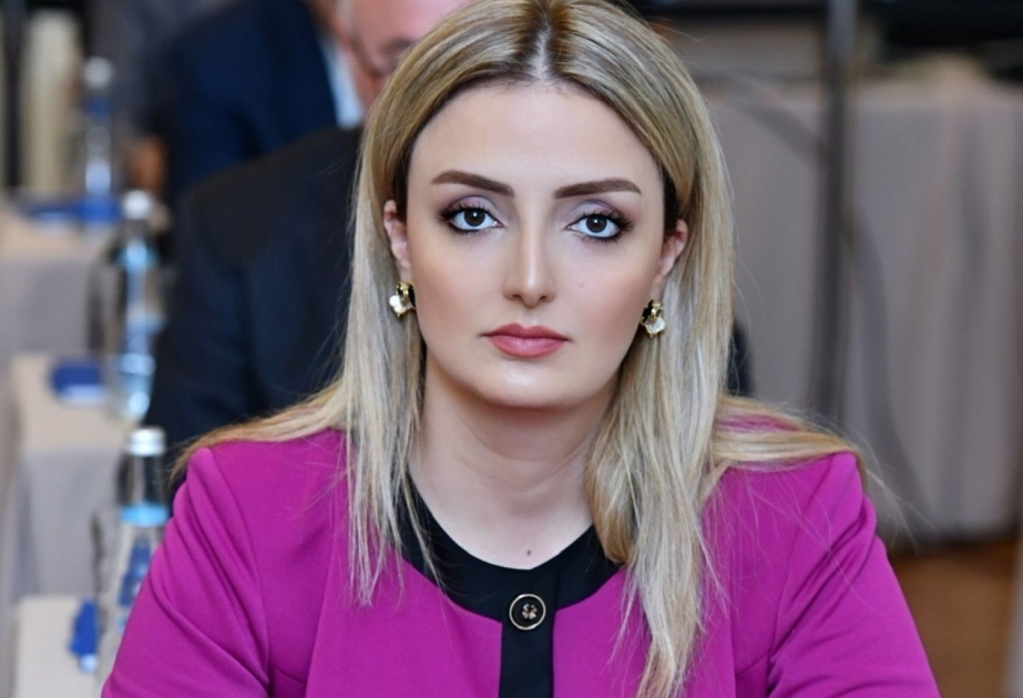 Deputat: Azərbaycanı heç bir təxribat və pozucu fəaliyyət mövqeyindən yayındıra bilməz
