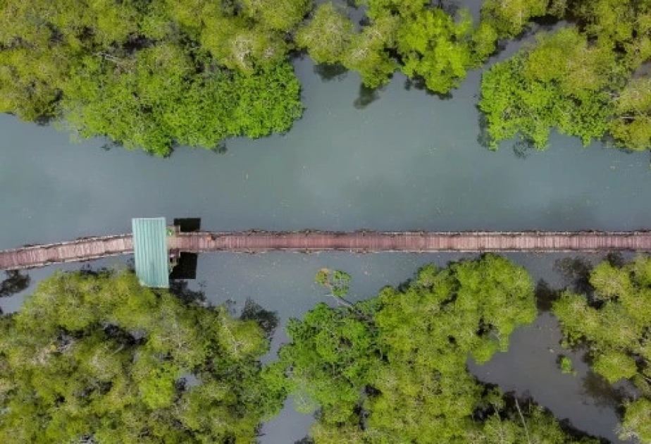 L’UNESCO désigne 10 nouvelles réserves de biosphère et une réserve de biosphère transfrontière