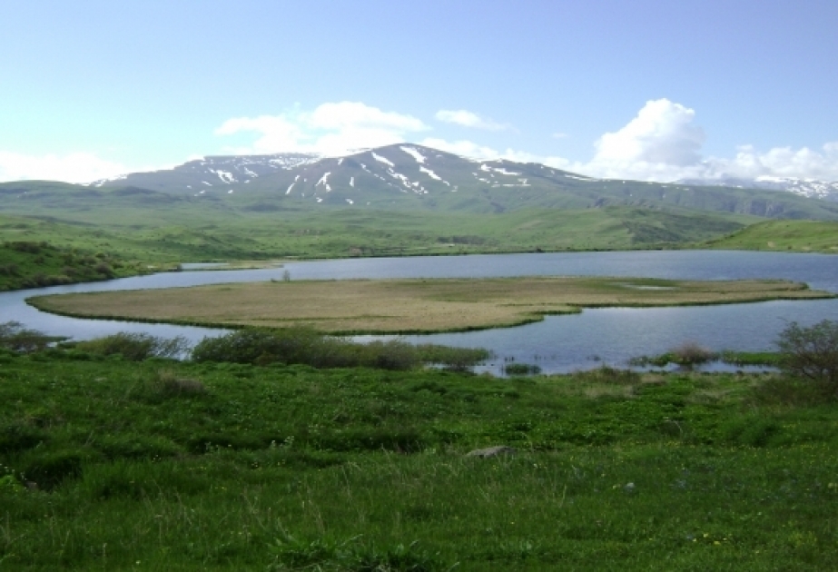Zəngəzur Milli Parkının ərazisində 110 flora və 33 fauna növü qorunur