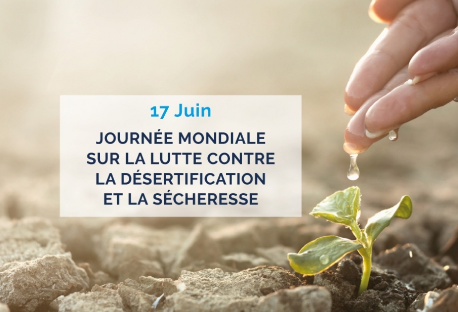 Aujourd’hui, c’est la Journée mondiale de lutte contre la désertification et la sécheresse