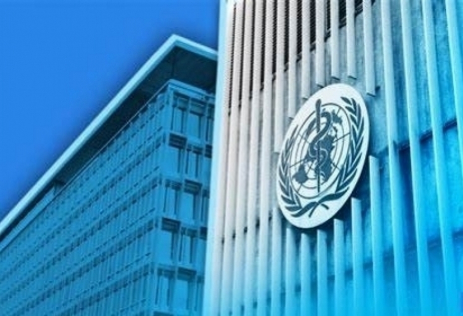 L’OMS publie un rapport sur l’accès à la morphine à des fins médicales