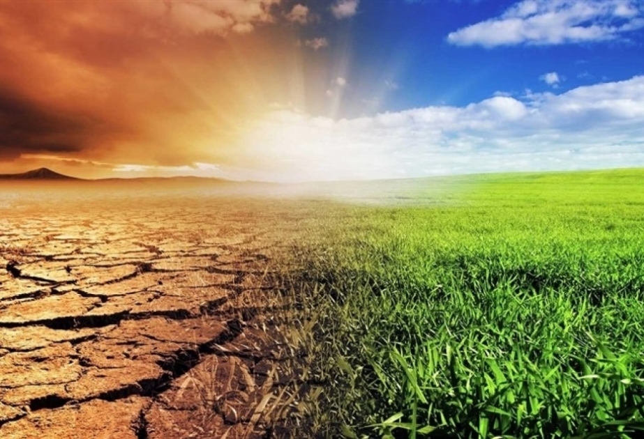 June 17 marking World Day to Combat Desertification and Drought