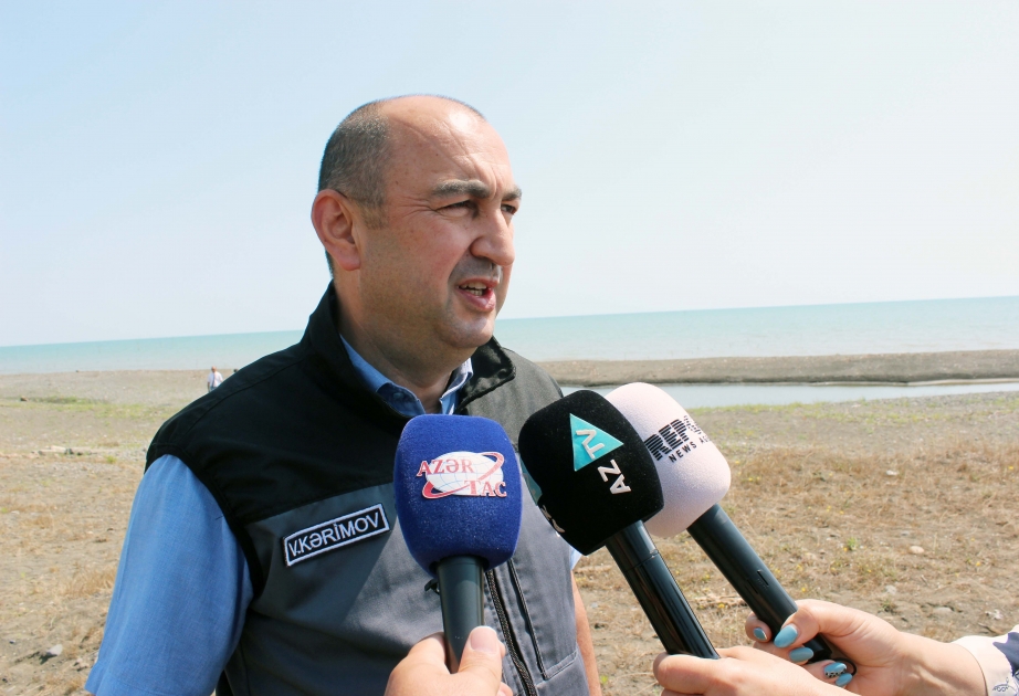 Nazir müavini: Təmizlik aksiyalarında böyük miqdarda sintetik torlarla qarşılaşırıq