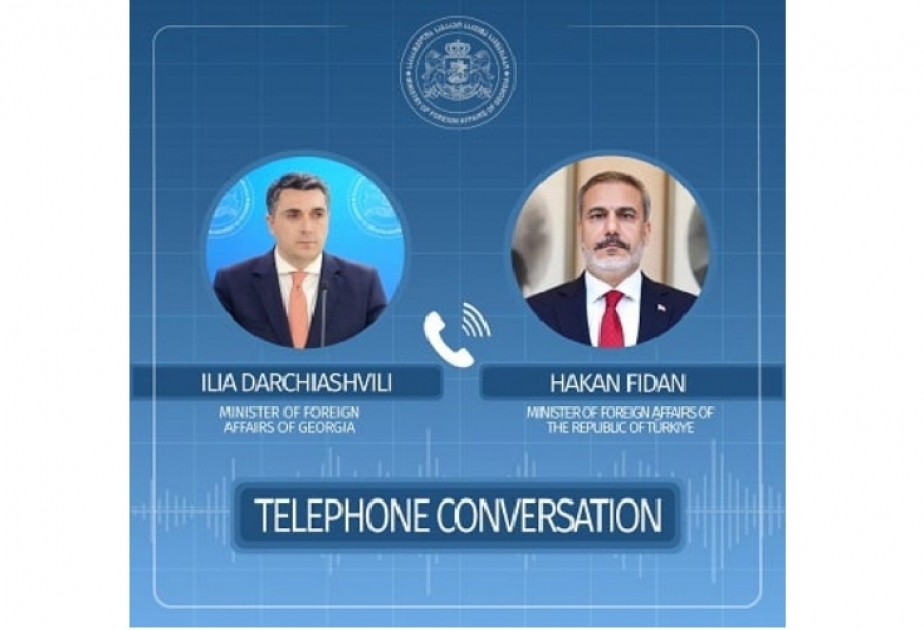 Gürcüstanın və Türkiyənin xarici işlər nazirləri regiondakı vəziyyəti müzakirə ediblər