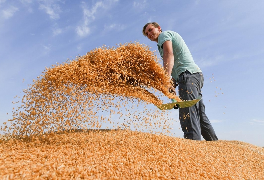 Türkiye considers implementation of grain deal important