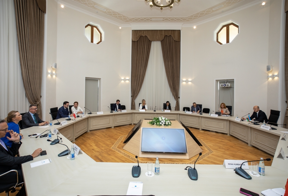 Azerbaijan, Poland discuss prospects for energy cooperation