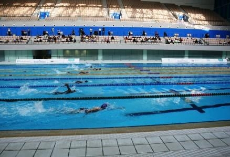 Bakıda üzgüçülük üzrə Açıq Yay çempionatı start götürüb