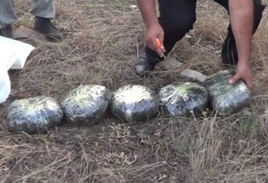 Masallı sakininin istifadəsiz tikilidə gizlətdiyi 4 kiloqram narkotik aşkarlanıb VİDEO