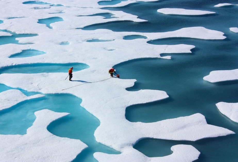 Au-delà des frontières : pourquoi le nouveau traité sur la haute mer est essentiel pour le monde entier