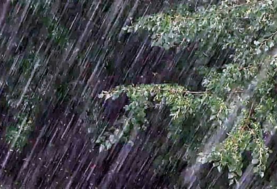 Ölkə ərazisində qeyri-sabit hava şəraiti davam edir