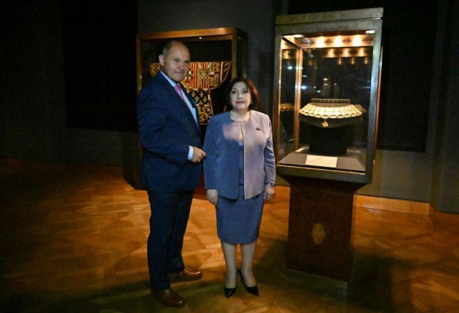 Milli Məclisin nümayəndə heyəti Vyanada İmperial Xəzinə Muzeyində olub