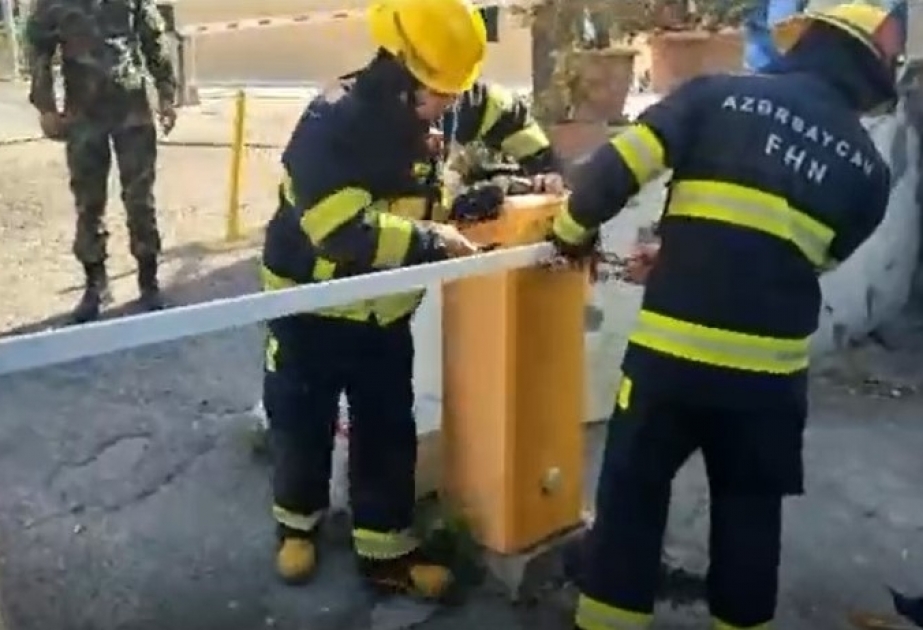 FHN-in Dövlət Yanğından Mühafizə və Dövlət Yanğın Nəzarəti xidmətləri birgə reydlər keçirib