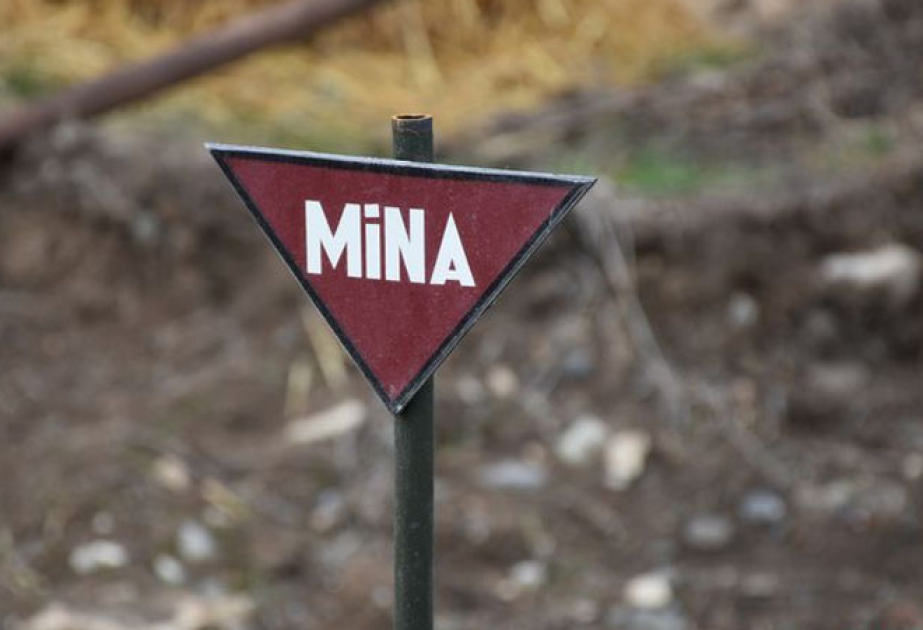 Mina insidentləri qurbanlarına daha səmərəli yardım göstərilir