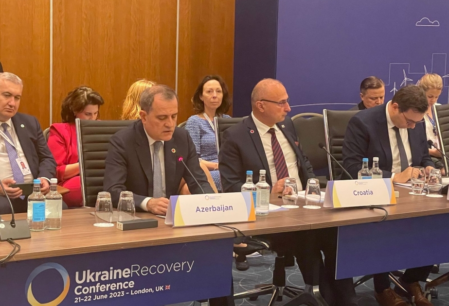 Министр Джейхун Байрамов выступил на конференции по восстановлению Украины