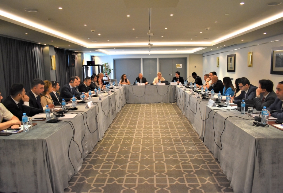 IOM Azerbaijan and the State Migration Service organize consultations for government representatives on Migration Governance Indicators
