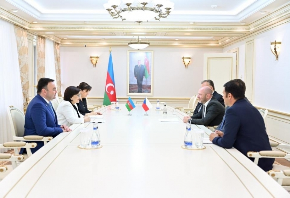 Чешские парламентарии проинформированы о мирной инициативе Азербайджана
